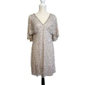 Adrianna‎ Papell Sequin Dress Cocktail Party Bride Vegas Silver Sheath Midi